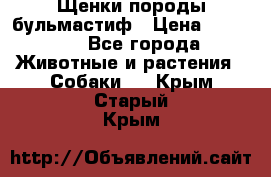 Щенки породы бульмастиф › Цена ­ 25 000 - Все города Животные и растения » Собаки   . Крым,Старый Крым